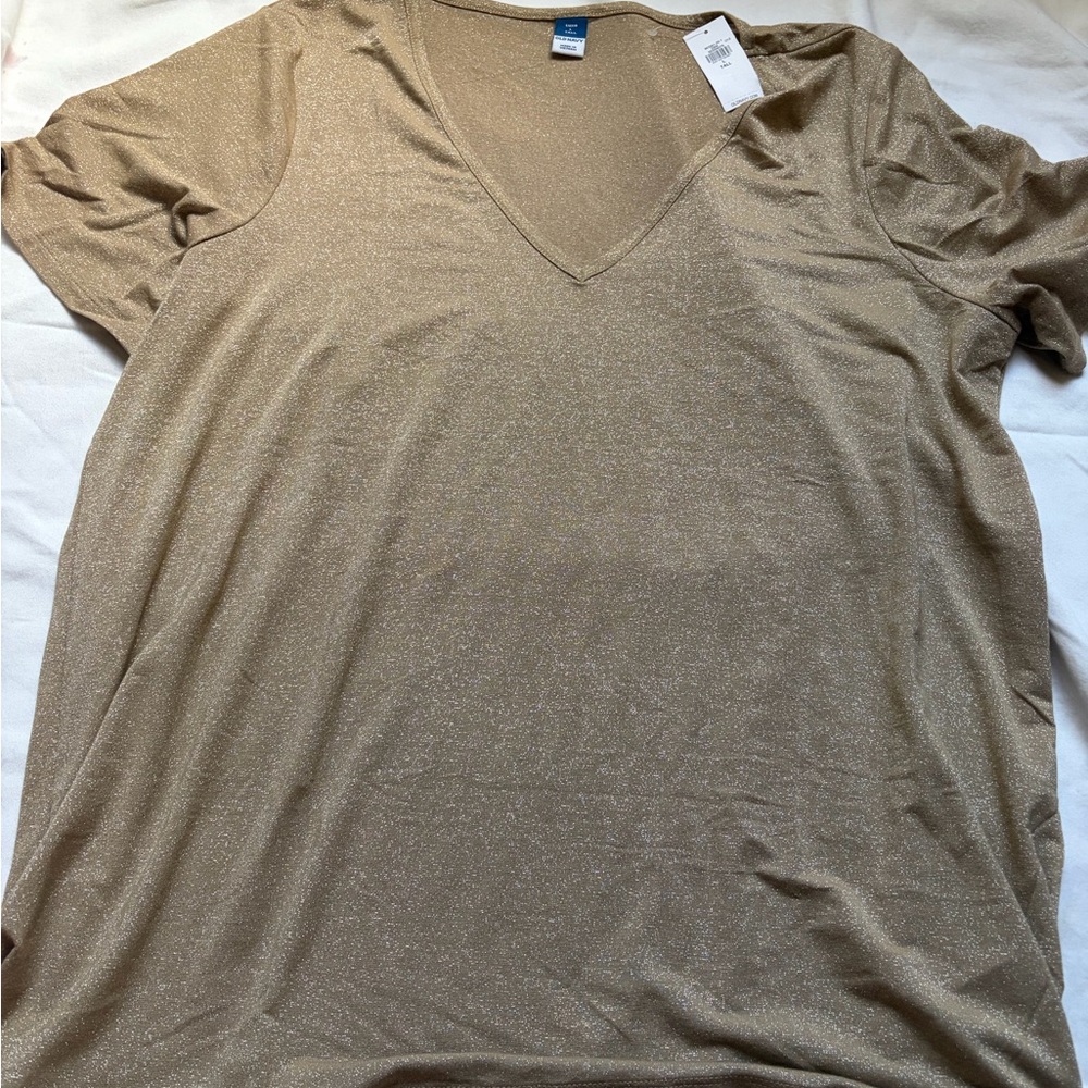 Zara Shimmering Gold Top